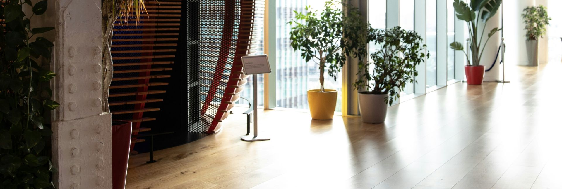 Spacious modern office interior with desks, plants, and natural lighting in Berlin.